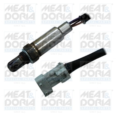 Oxygen Sensor